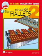 Schule für Mallets 2 