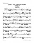 Passion selon St. Jean "O Mensch, bewein" BWV 245.2 