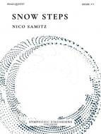 Snow Steps 