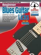 Progressive Beginner Blues Lead Guitar Licks 