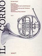 Concertino D major 