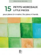 15 petits morceaux 