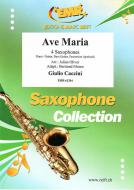 Ave Maria Standard