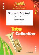Storm In My Soul Standard