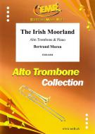 The Irish Moorland Standard