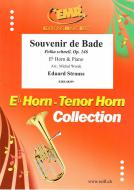 Souvenir de Bade Standard