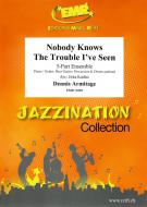 Nobody Knows The Trouble I've Seen Standard