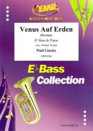 Venus Auf Erden Standard