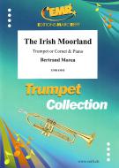 The Irish Moorland Standard