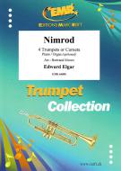 Nimrod Standard