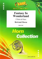 Fantasy In Wonderland Standard