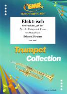 Elektrisch Standard
