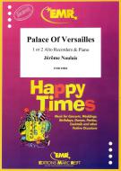 Palace Of Versailles Standard