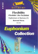 Fléxibilité Download