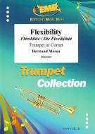 Fléxibilité Download