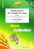 Nobody Knows The Trouble I've Seen Download