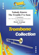 Nobody Knows The Trouble I've Seen Download
