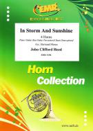 In Storm And Sunshine Download