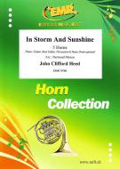 In Storm And Sunshine Download