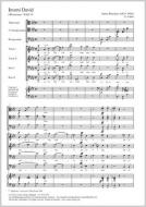 I have found David WAB 19 Standard
