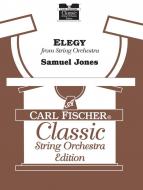 Elegy for String Orchestra 