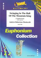 Swinging In The Hall Of The Mountain King Standard