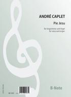 Pie Jesu pour voix et orgue 