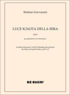 Luce ignota della sera 