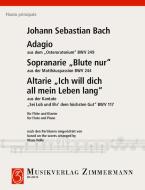 Adagio du Osteroratorium (Oratorio de Pâques) Download