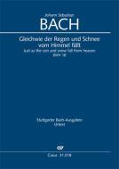 Gleichwie der Regen und Schnee vom Himmel fällt Download
