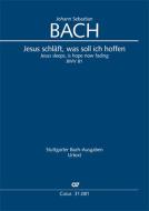 Jesus schläft, was soll ich hoffen Download