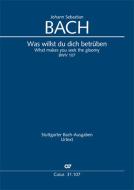 Was willst du dich betrüben Download