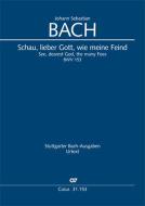 See, dearest God, the many foes BWV 153 Download