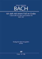 I stand with my open grave before me BWV 156 Download