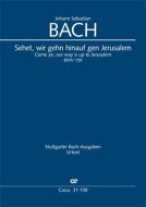 Sehet, wir gehn hinauf gen Jerusalem Download