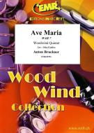 Ave Maria WAB 7 Standard