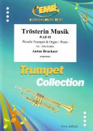 Musique de réconfort WAB 88 Standard