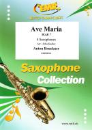 Ave Maria WAB 7 Download