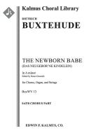 The Newborn Babe 