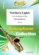 Northern Lights Download