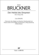 Der Herbst des Einsamen WAB 112,3 Download