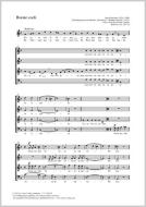 Rorate Coeli in F major WAB 40 Download