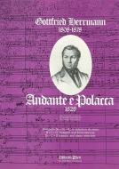 Andante e Polacca Standard