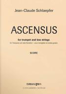Ascensus Standard
