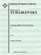 Fantasie de Concert 