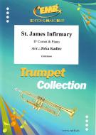 St. James Infirmary Download