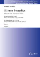 Siltums bezgalīgs Standard