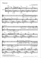 Winterzeit Standard