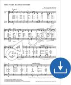 Stille Nacht, du sinkst hernieder Download