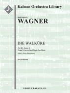 Die Walkuere : Acte III, Sc. 3 : L'adieu de Wotan et la scène du feu magique 